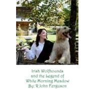 Irish Wolfhounds & the Legend of White Morning Meadow by Ferguson, R. John; Follett, Doreen; Yochum, Rhonda, 9781461190868