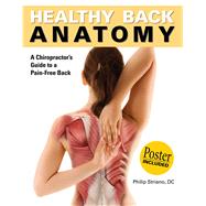 Healthy Back Anatomy by Striano, Philip, 9781684120888