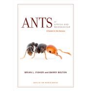 Ants of Africa and Madagascar by Fisher, Brian L.; Bolton, Barry; Huppi, Jessica, 9780520290891