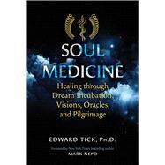 Soul Medicine by Edward Tick, 9781644110898