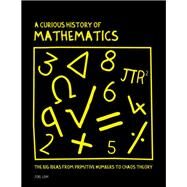 A Curious History of Mathematics Hardcover  2015 by Joel Levy, 9781435160903