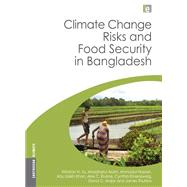 Climate Change Risks and Food Security in Bangladesh by Yu,Winston, 9781138970908