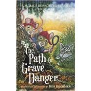 The Path to Grave Danger by Boehmer, Bob, 9781667870908