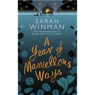 A Year of Marvellous Ways by Winman, Sarah, 9780755390915