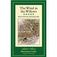 The Wind in the Willows by Grahame, Kenneth; Rackham, Arthur; Frith, Barbara; Davies, David Stuart (AFT), 9781907360916