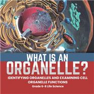 What is an Organelle? Identifying Organelles and Examining Cell Organelle Functions | Grade 6-8 Life Science by Baby Professor, 9781541990920