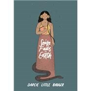A Snake Falls to Earth by Little Badger, Darcie, 9781646140923