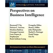 Perspectives on Business Intelligence by Ng, Raymond T.; Arocena, Patricia C.; Barbosa, Denilson; Carenini, Giuseppe; Gomes, Luiz, Jr., 9781627050937