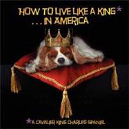 How to Live Like a King...In America by Boyle, Grace R.; Boyle, Peter, 9781602640955