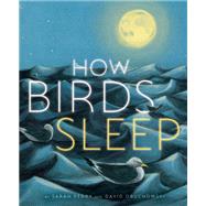 How Birds Sleep by Obuchowski, David; Pedry, Sarah, 9781662650970