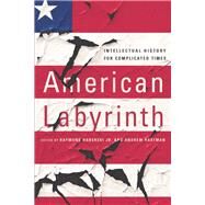 American Labyrinth by Haberski, Raymond, Jr.; Hartman, Andrew, 9781501730986