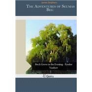 The Adventures of Seumas Beg by Stephens, James, 9781506160986