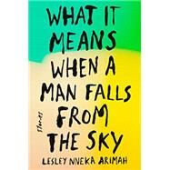 What It Means When a Man Falls from the Sky by Arimah, Lesley Nneka, 9780735211025
