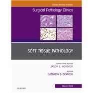 Soft Tissue Pathology, an Issue of Surgical Pathology Clinics by Demicco, Elizabeth G., 9780323661027