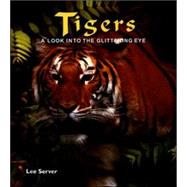 Tigers by Server, Lee, 9781597641029