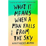 What It Means When a Man Falls from the Sky by Arimah, Lesley Nneka, 9780735211032