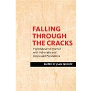 Falling Through the Cracks by Berzoff, Joan, 9780231151085