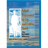 School Experiences of Gay and Lesbian Youth: The Invisible Minority by Harris; Mary B, 9781560231097