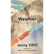 American Weather by Offill, Jenny, 9780385351102