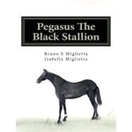 Pegasus the Black Stallion by Miglietta, Bruno E.; Miglietta, Isabella; Walton, Barbara Ann, 9781468021103