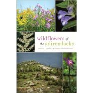 Wildflowers of the Adirondacks by Leopold, Donald J.; Musselman, Lytton John, 9781421431109