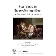 Families in Transformation by Nicolo, Anna Maria; Benghozi, Pierre; Lucarelli, Daniela, 9781780491110
