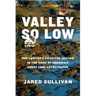 Valley So Low One Lawyer's Fight for Justice in the Wake of America's Great Coal Catastrophe by Sullivan, Jared, 9780593321119