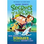 Mom, There's a Dinosaur in Beeson's Lake by Trueit, Trudi; Paillot, Jim, 9781416961123
