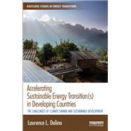 Accelerating Sustainable Energy Transition(s) in Developing Countries: The challenges of climate change and sustainable development by Delina; Laurence L., 9781138741133