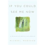 If You Could See Me Now A Chronicle of Identity and Adoption by Mewshaw, Michael, 9781609531140