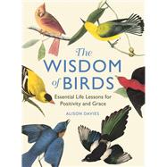 The Wisdom of Birds Essential Life Lessons for Positivity and Grace by Davies, Alison, 9781915751140