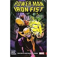 Power Man and Iron Fist Vol. 1 by Walker, David F.; Greene, Sanford, 9781302901141