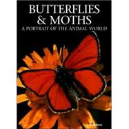 Butterflies & Moths by Sterry, Paul, 9781597641142