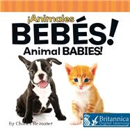 Animales bebes! / Animal Babies! by Reasoner, Charles, 9781612361154