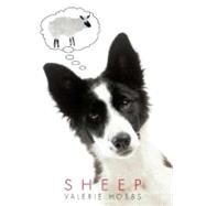 Sheep by Hobbs, Valerie, 9780312561161