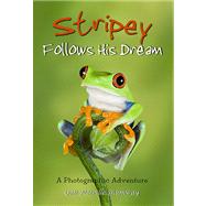 Stripey Follows His Dream by Shumway Gail, 9780982461174