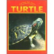 Caring for Your Turtle by Hamilton, Lynn, 9781590361184