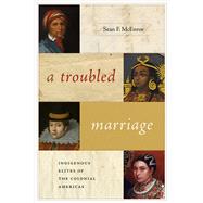 A Troubled Marriage by Mcenroe, Sean F., 9780826361189