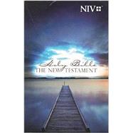 New Testament: New International Version, Outreach, Blue Pier by Biblica, 9781563201196