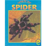 Spider by Lomberg, Michelle, 9781590361207