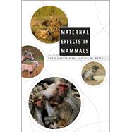 Maternal Effects in Mammals by Maestripieri, Dario, 9780226501208