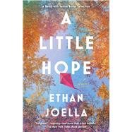 A Little Hope A Novel by Joella, Ethan, 9781982171209