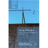 Young Offenders Crime, Prison and Struggles for Desistance by Halsey, Mark; Deegan, Simone, 9781137411211