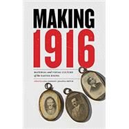 Making 1916 Material and Visual Culture of the Easter Rising by Godson, Lisa; Brck, Joanna, 9781781381229