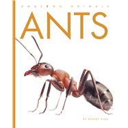 Ants by Gish, Ashley, 9798896801238
