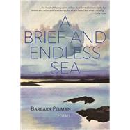 A Brief and Endless Sea by Pelman, Barbara, 9781773861258
