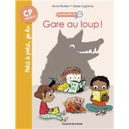 Les enqutes du CP, Tome 05 by Anne RIVIRE, 9791036301261