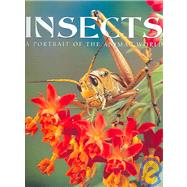 Insects by Sterry, Paul, 9781597641265