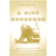 A City Consumed by Reynolds, Nancy Y., 9780804781268