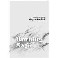 Burning Sage Poems from the Lytton Fire by Fandrich, Meghan, 9781773861289